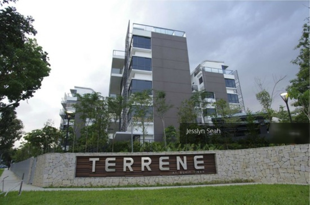 Terrene At Bukit Timah (D21), Condominium #143006492